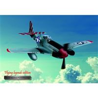 N.A. P-51 D Mustang Aluminium Poster