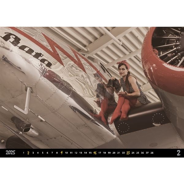 Kalendář PinUp 2025 nástěnný