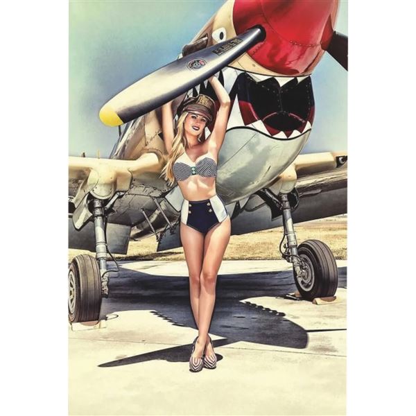 Girl Pin-up and Aviation Aluminium Poster