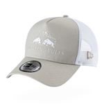 RED BULL Kšiltovka New Era Core šedobílá