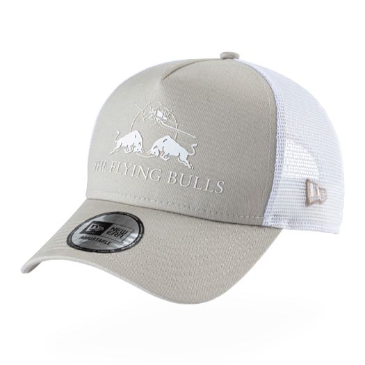RED BULL Kšiltovka New Era Core šedobílá