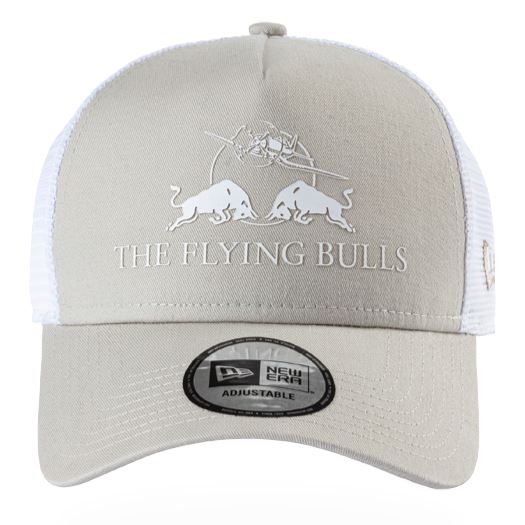 RED BULL Kšiltovka New Era Core šedobílá